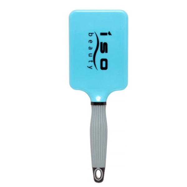 Paddle Brush