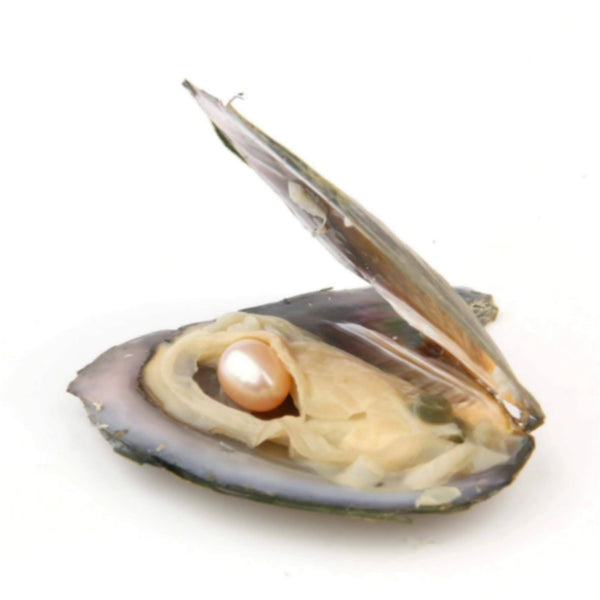 Wish Pearl Necklace