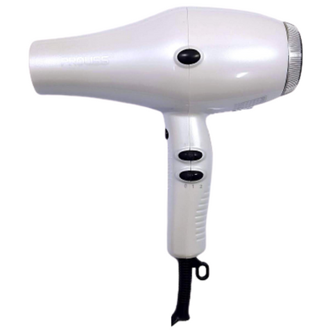 Proliss sales hair dryer